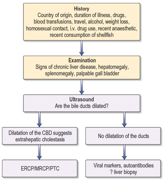 Approach to the investigation of cholestatic jaundice